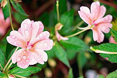 传PS6和下一代Xbox GPU性能提升仅20% 2027年发售